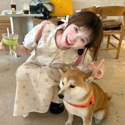 日式欢喜冤家